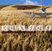 Somewhere to elsewhere by Kansas