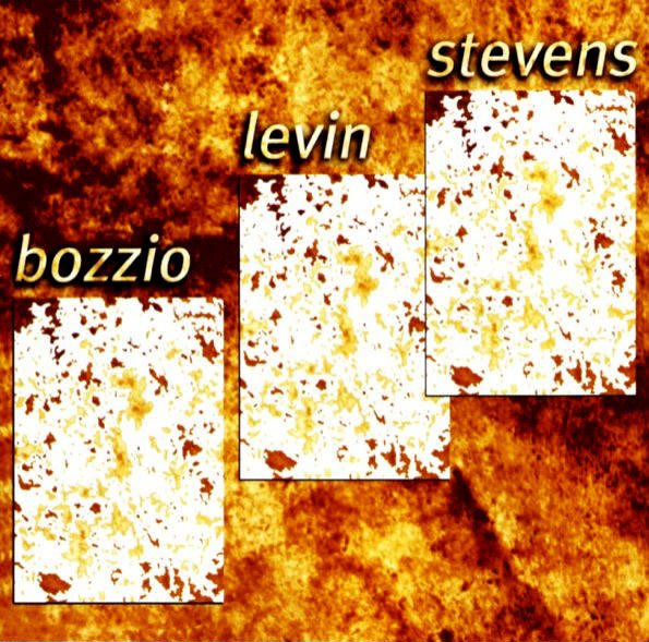 Situation Dangerous by Bozzio Levin Stevens