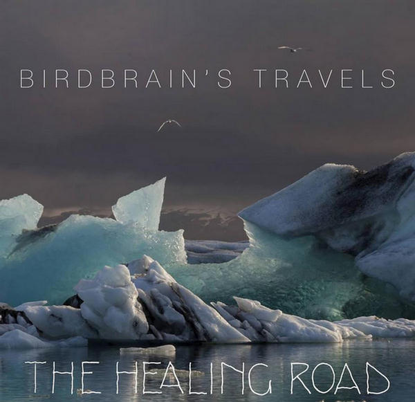 Birdbrain's Travels by The Healing Road