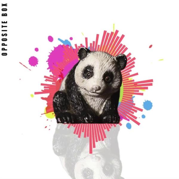 OBScene by Opposite Box