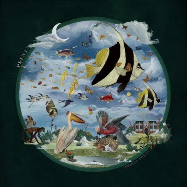 Impulse Voices by Plini