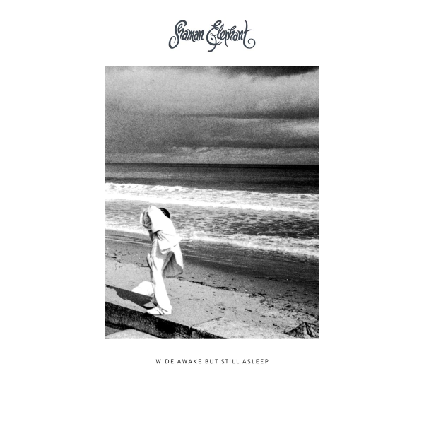 Wide Awake but Still Asleep by Shaman Elephant