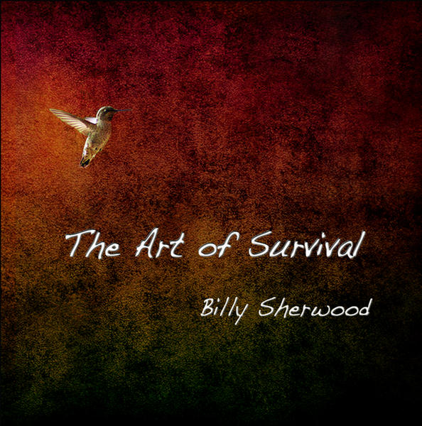 The Art Of Survival by Billy Sherwood