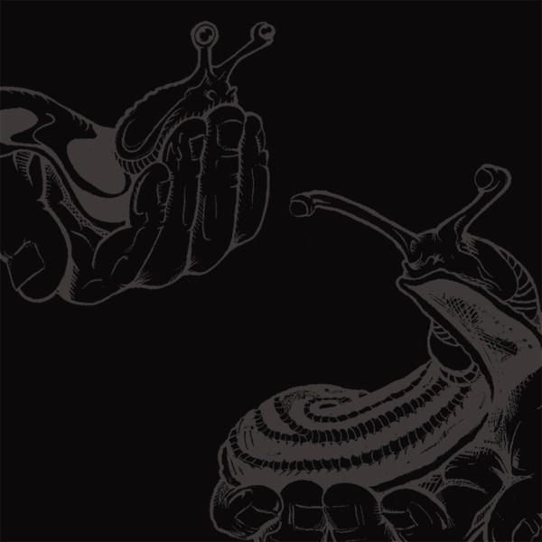 Slug Comparison by Slug Comparison