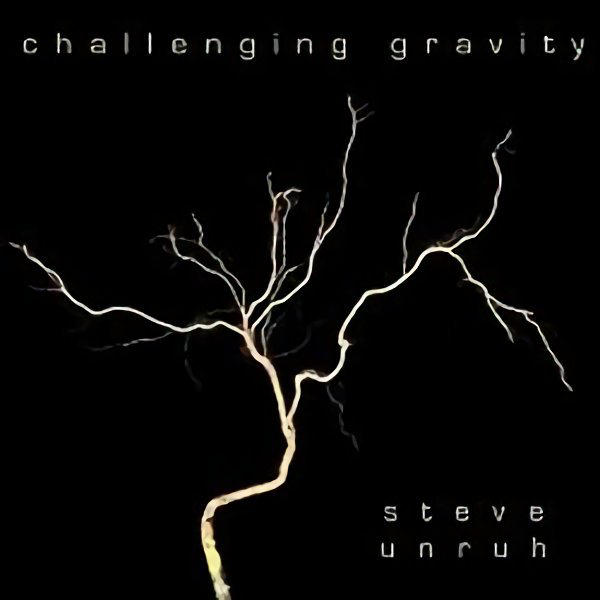 Challenging Gravity by Steve Unruh