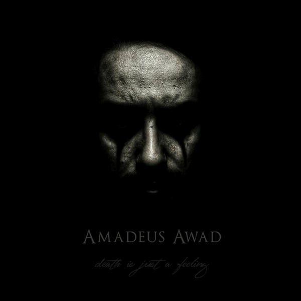 Death Is Just A Feeling by Amadeus Awad