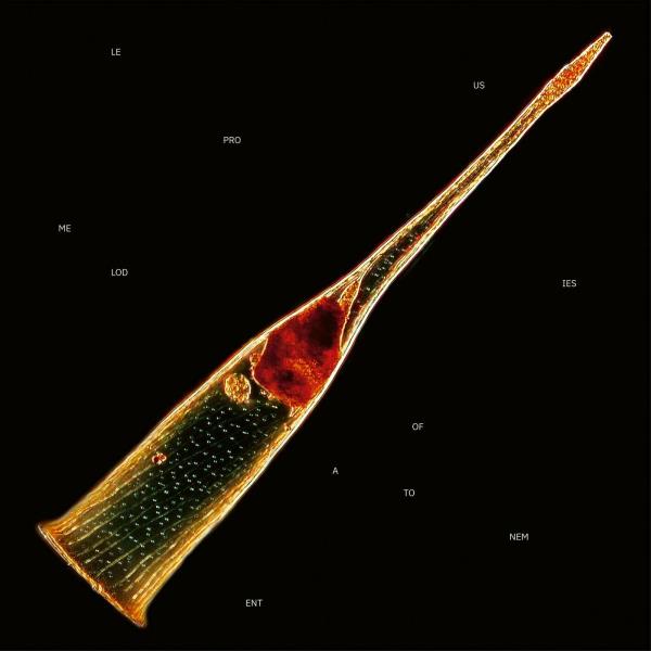 Melodies Of Atonement by Leprous