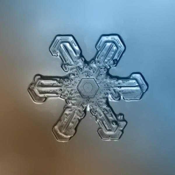 1975 Triptych by M-Opus