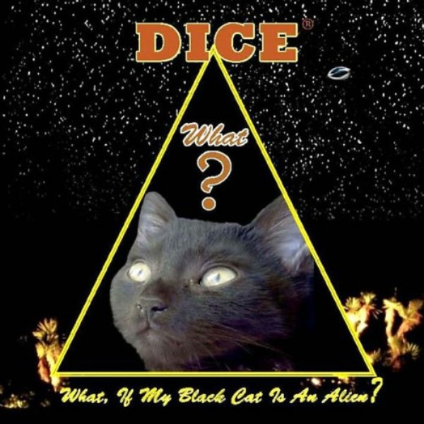 What, If My Black Cat Is An Alien by Dice