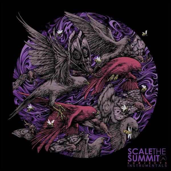 Subjects by Scale The Summit