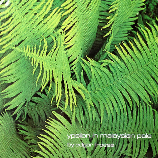 Epsilon In Malaysian Pale by Edgar Froese