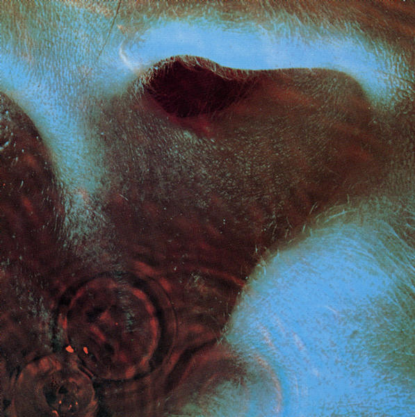 Meddle (2011 Remaster)
